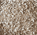 Seed coating