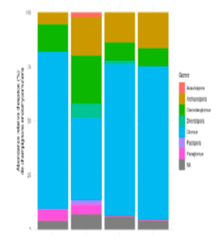 The Amoterra reference to qualify mycorrhizal soil status
